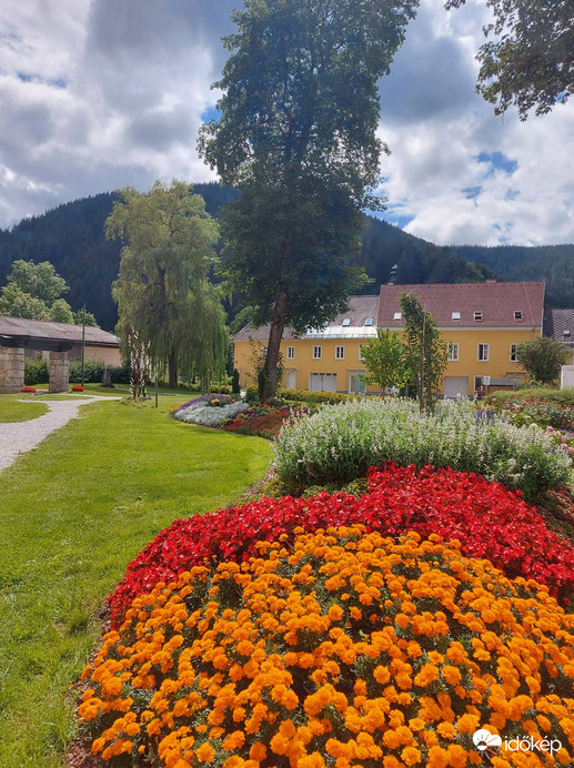 buja zöld és szines (Neuberg an der Murz ben)