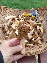 lakatildi fotója