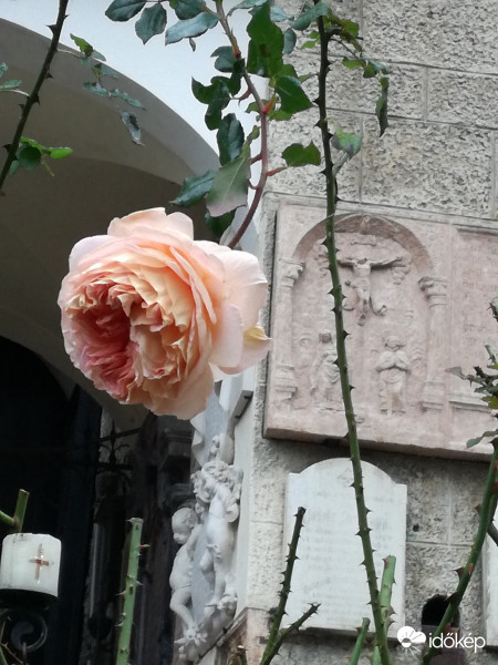 dec 1 -én. ez egy csoda 