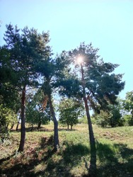 lakatildi fotója