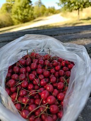 lakatildi fotója