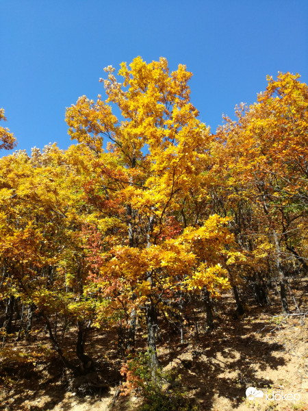 bélkő tanösvényen