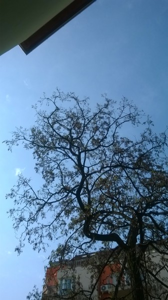 Budapest VIII.ker - Józsefváros