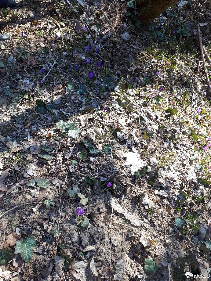 Budapest VIII.ker - Józsefváros