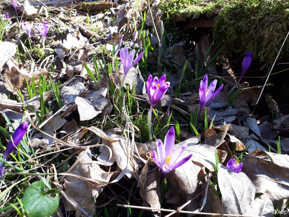 Budapest VIII.ker - Józsefváros