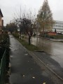 Záhony