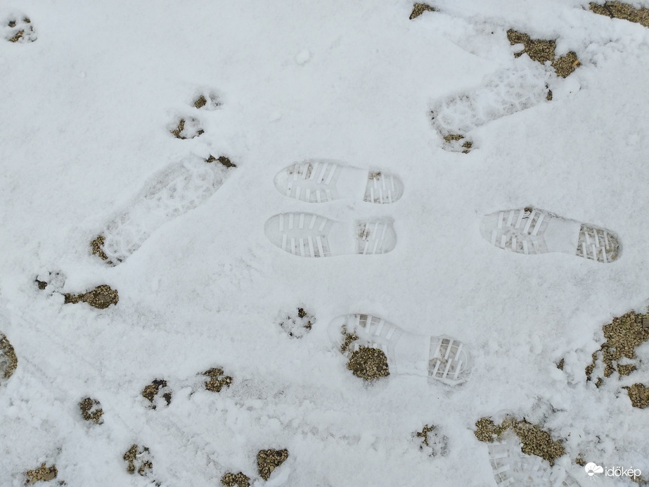 Nyomok a hóban