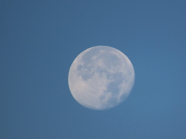 Hold a kék égbolton