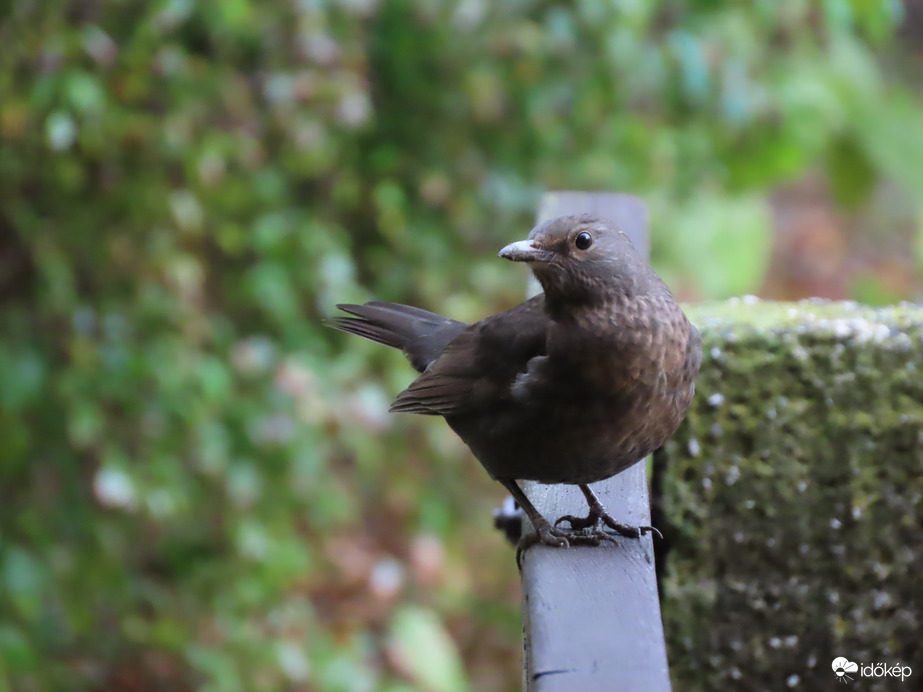 Ez a profilom szebb!