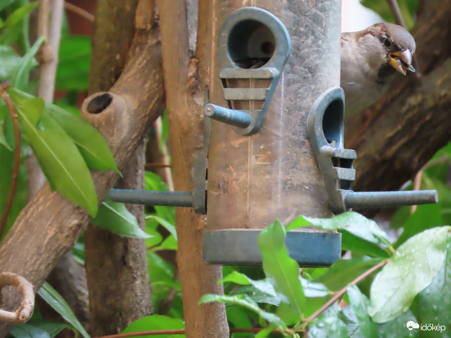 Ide nézz! Találtam