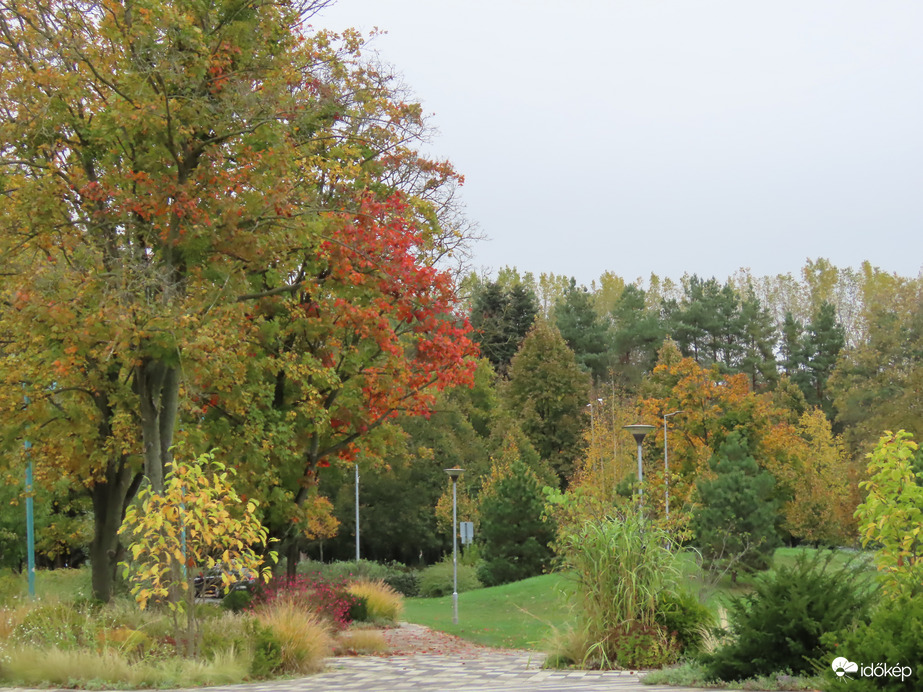 A Sportliget színei