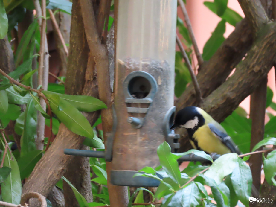 Itt már van valami!