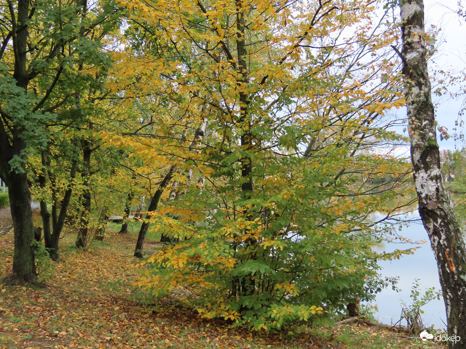 A Horgásztó partja borongós időben