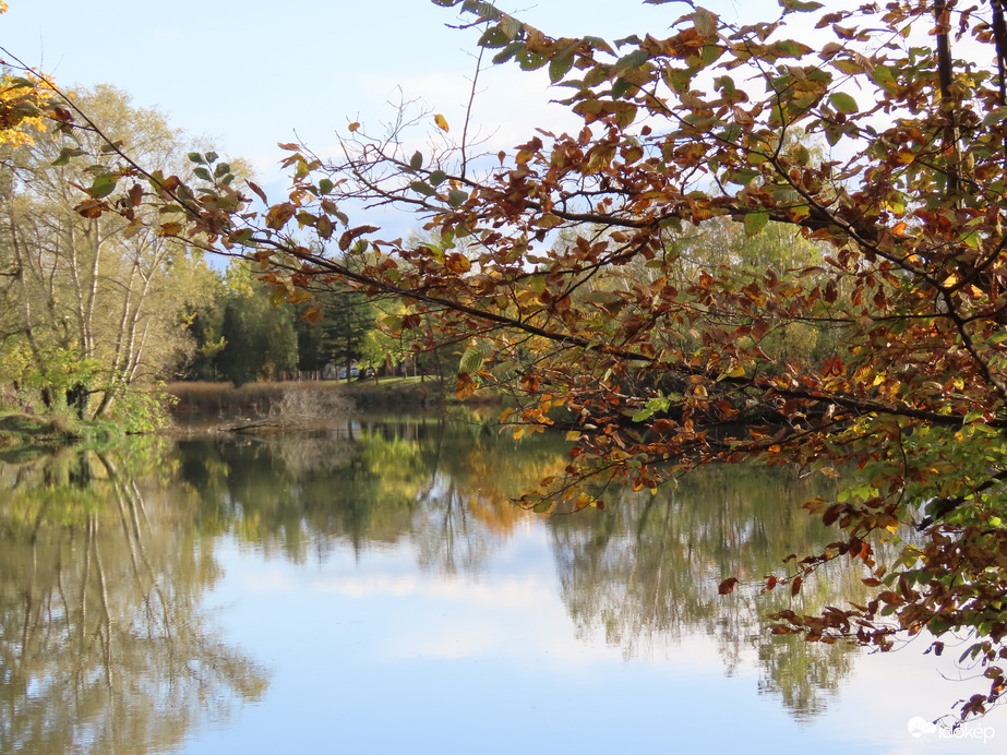 A Horgásztó napfényben