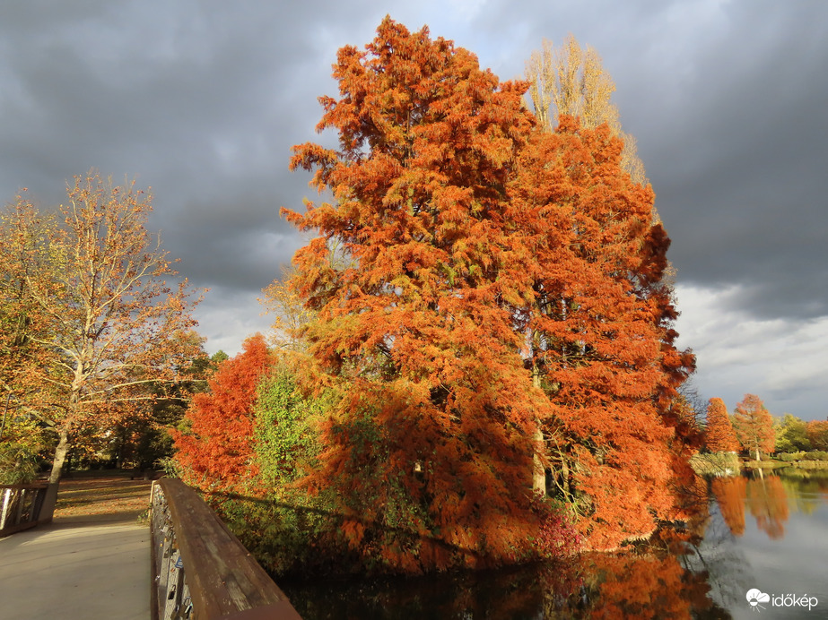 Úton a Csónakázó-tó szigetére