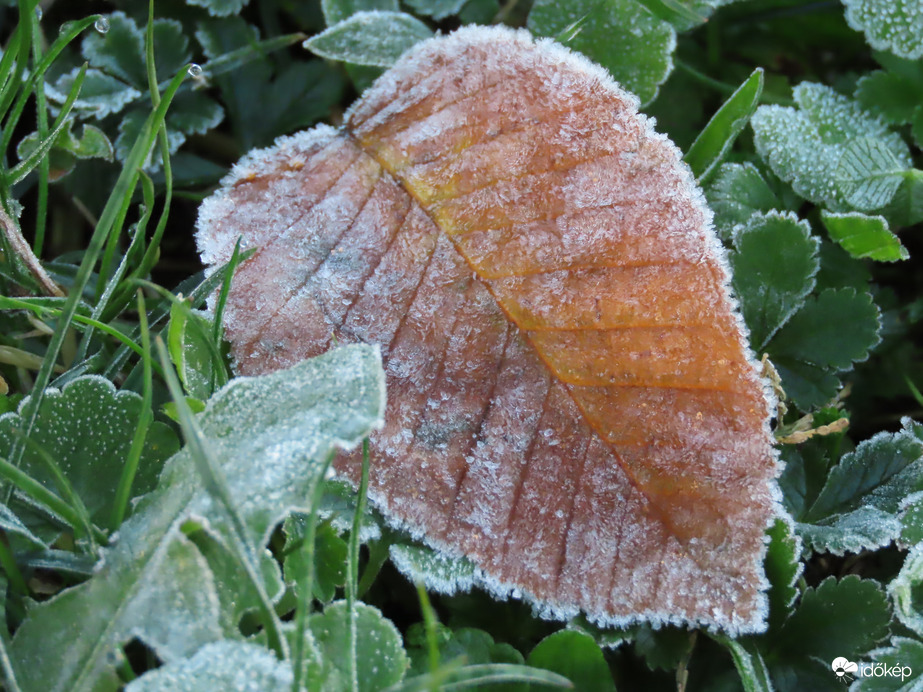 Deresen indult a nap