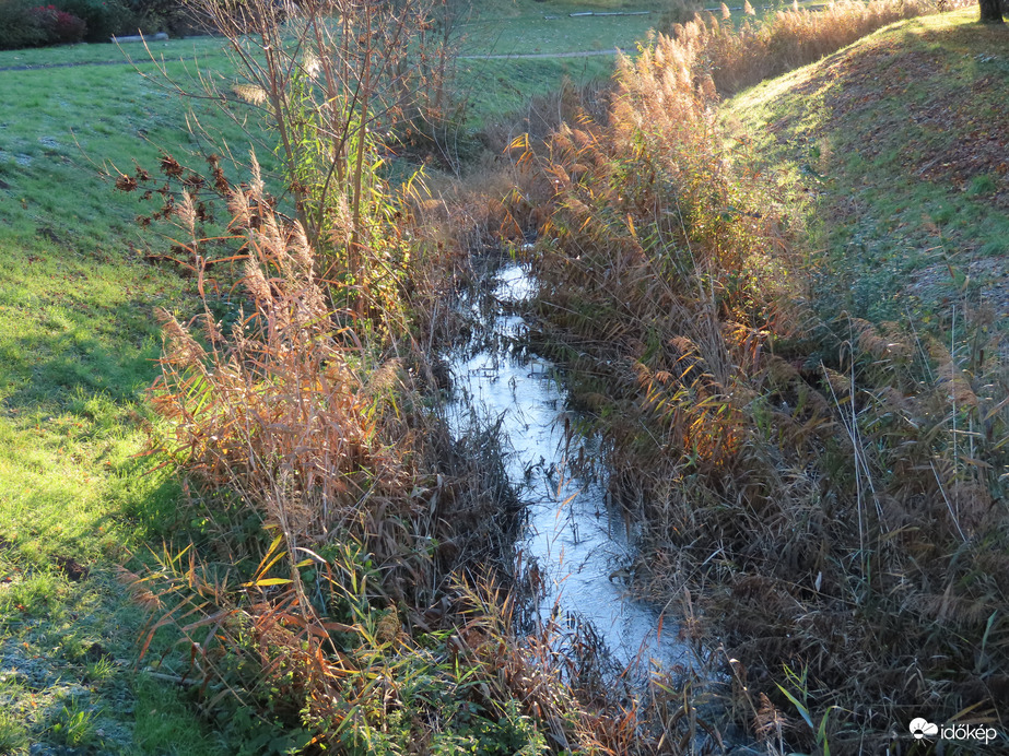 "Csípős"reggel az Arany-pataknál