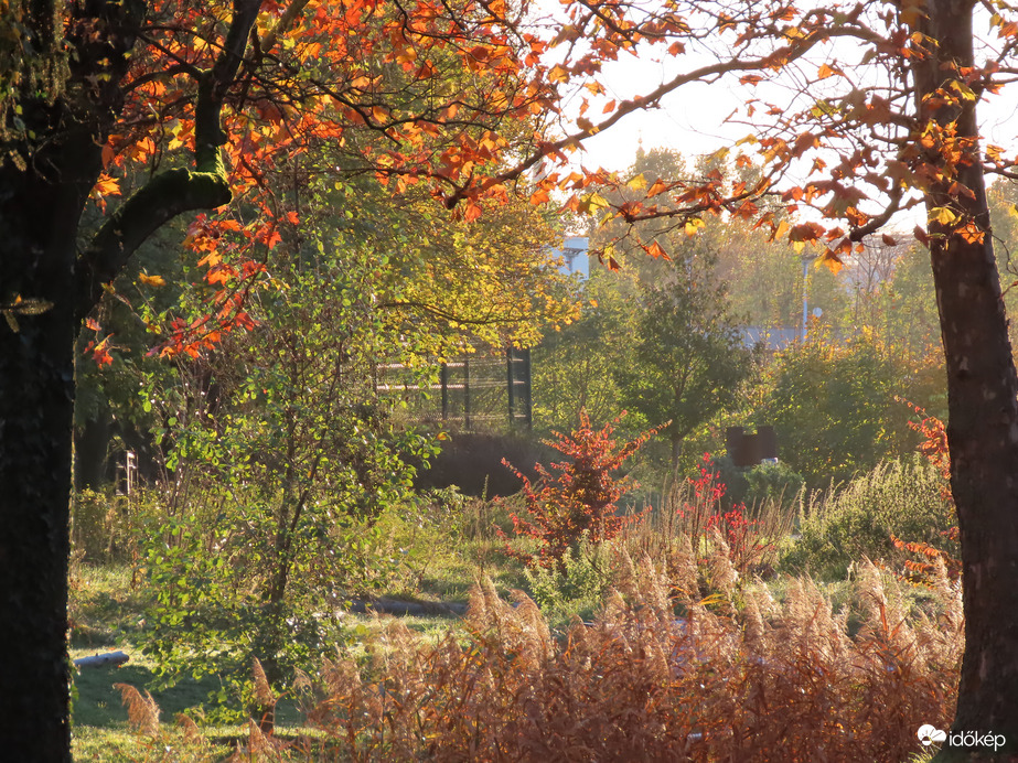 Hűvös novemberi reggel