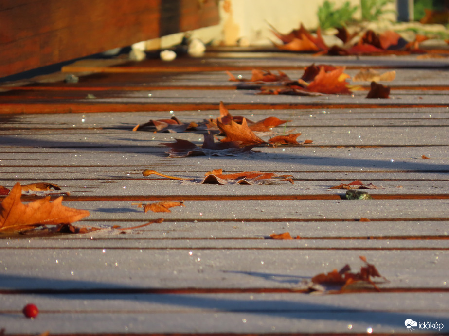 Deres híd falevelekkel