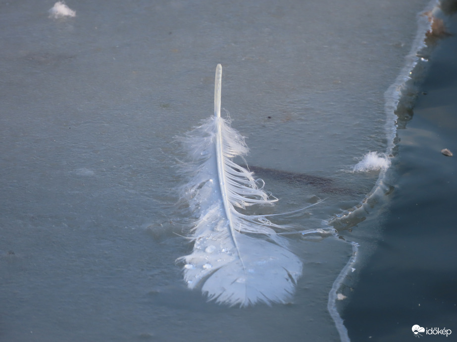 "Valaki" elvesztette