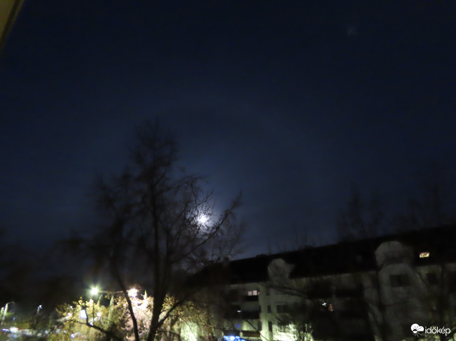 Holdhalo, Szombathely