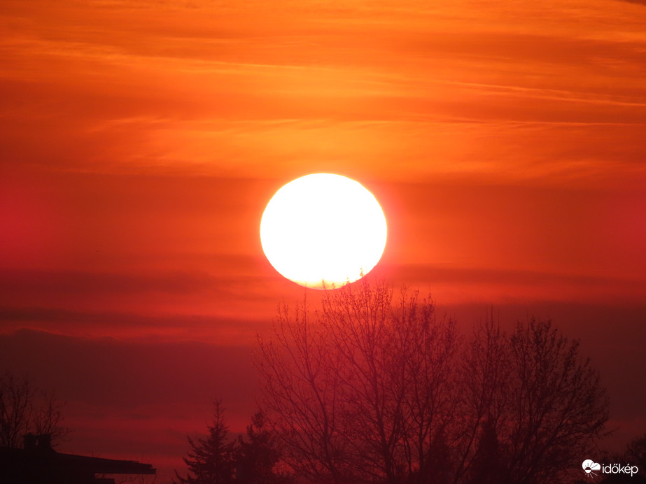Megpihenek a fák csúcsán