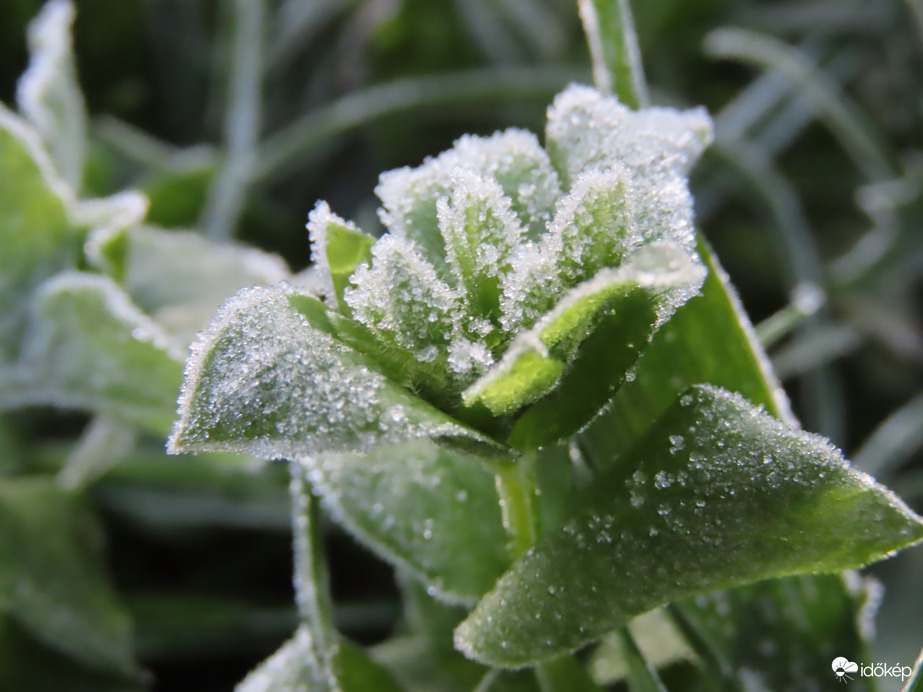 Deresen indult a nap