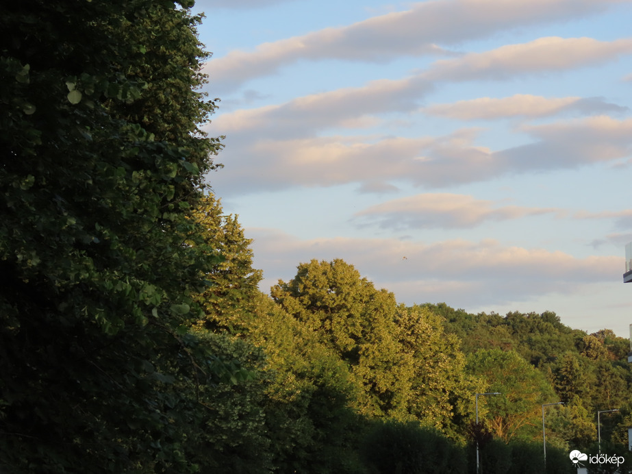 Fény és árnyék határa