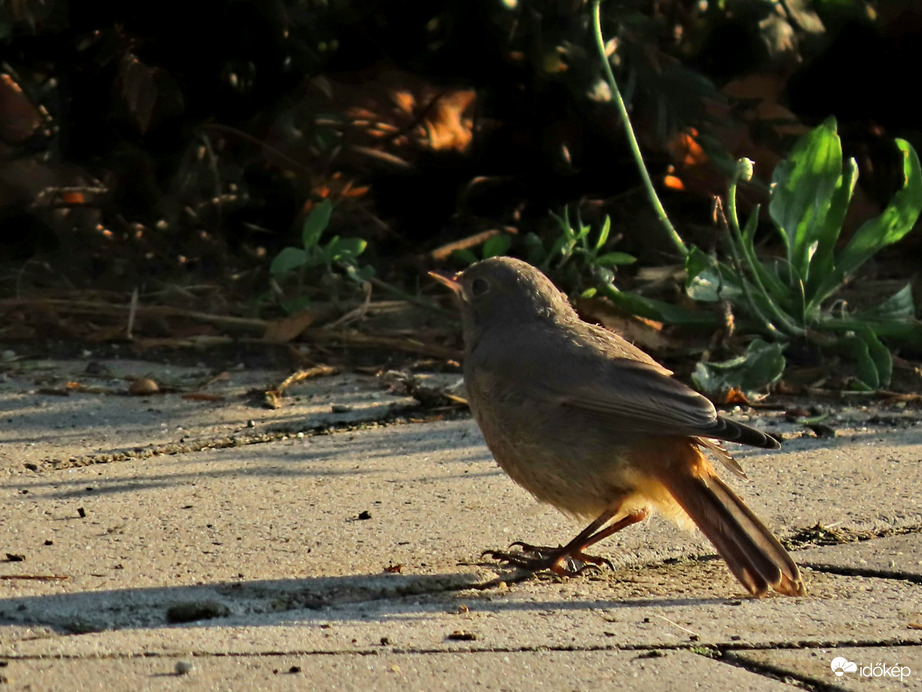 Indulásra felkészülni!