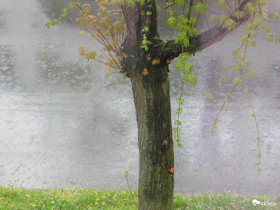 Szombathelyen locsog az eső