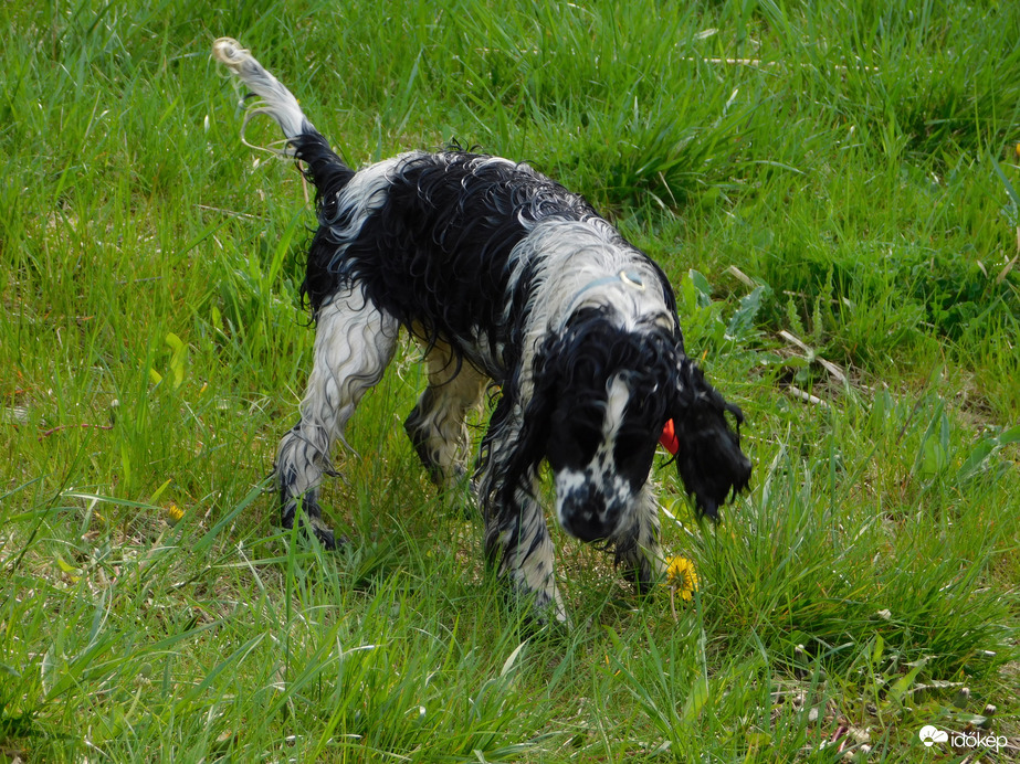 Én inkább kijöttem