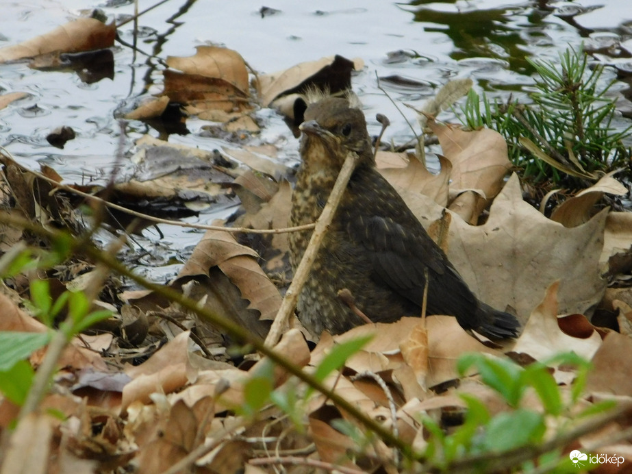Mama! Ugye így jobban meglátsz?