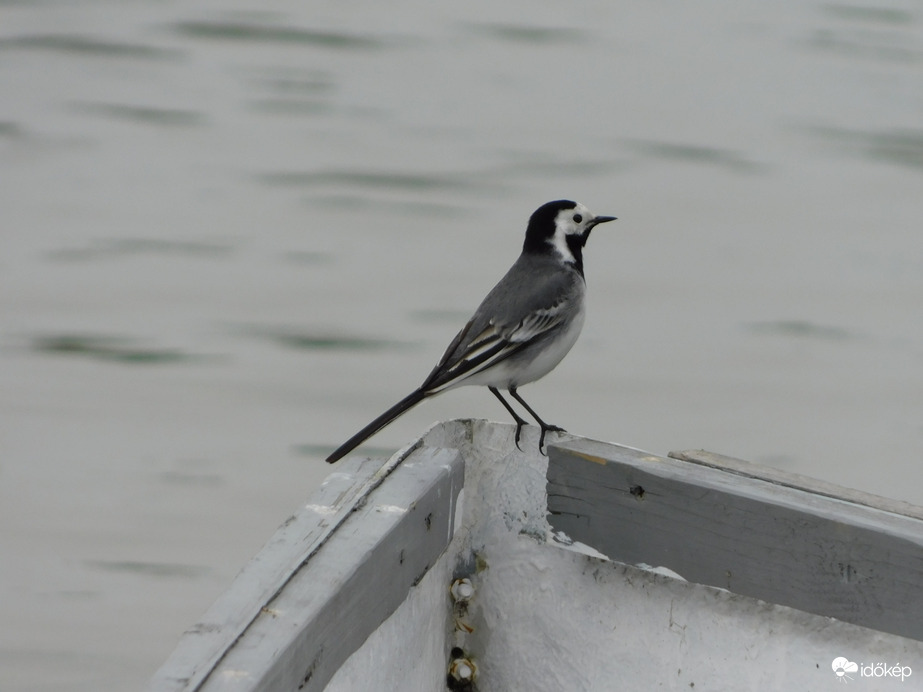 Kémlelem a láthatárt