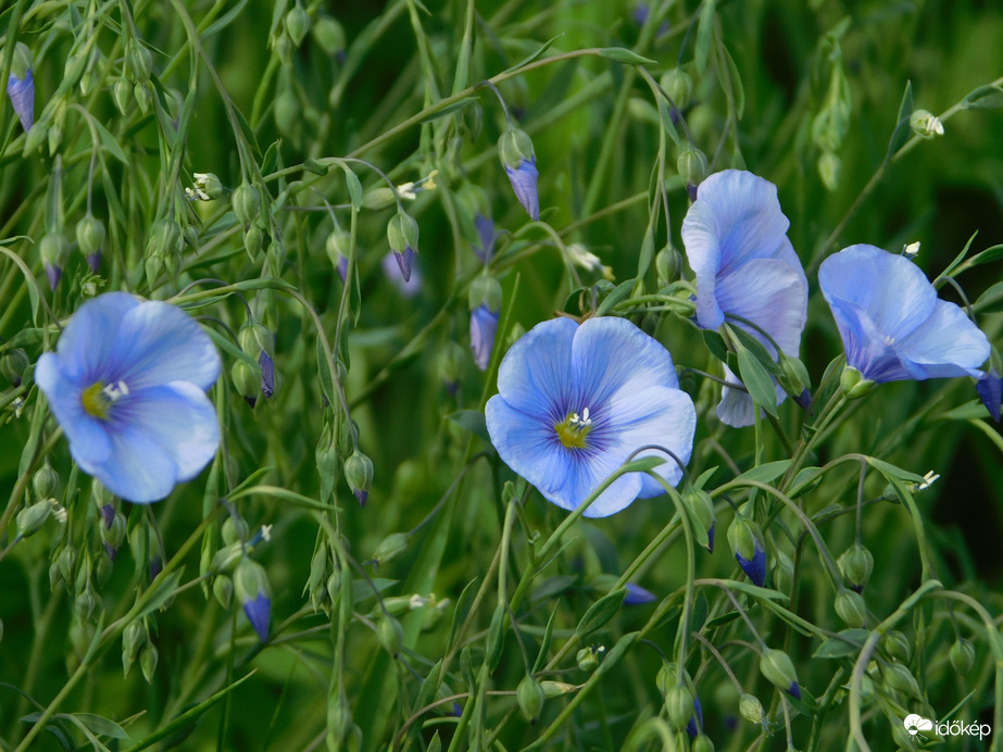 Tudjátok "ki" vagyok?