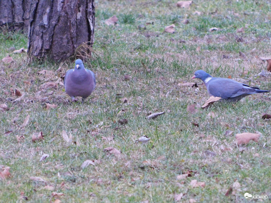 Állandó mozgásban