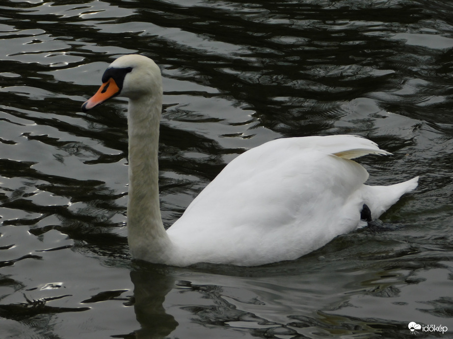Szél borzolta hullámokon