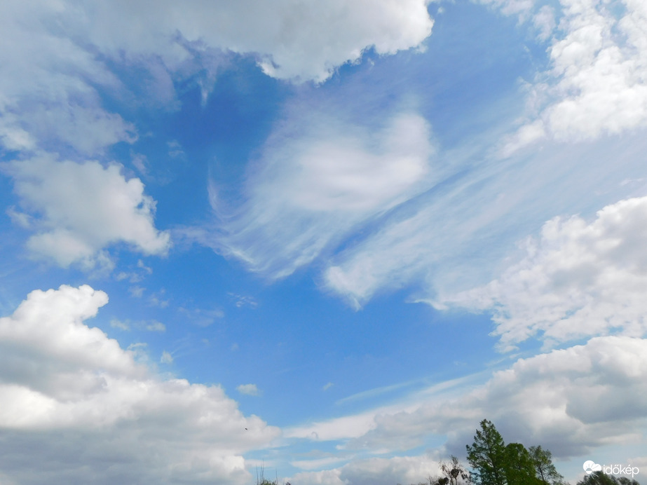 Fátylak és gomolyok