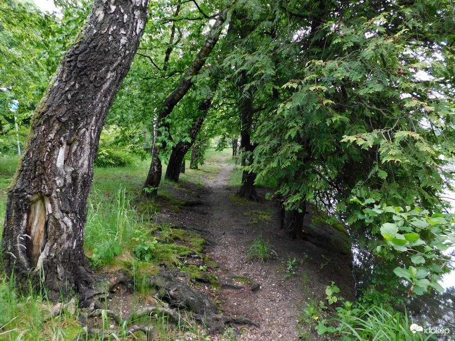Ösvény a Horgásztó partján