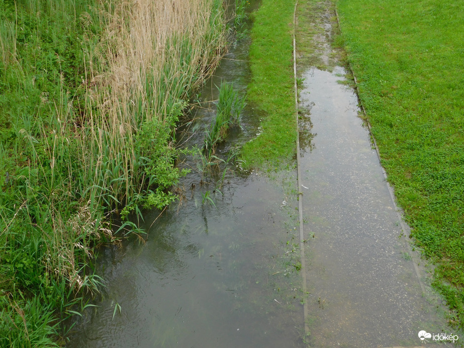 Megint kiöntött az Arany-patak