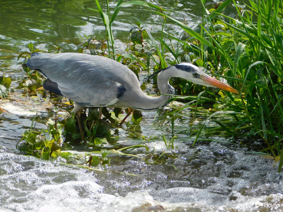 Tovább nem érek rá, dolgom van!