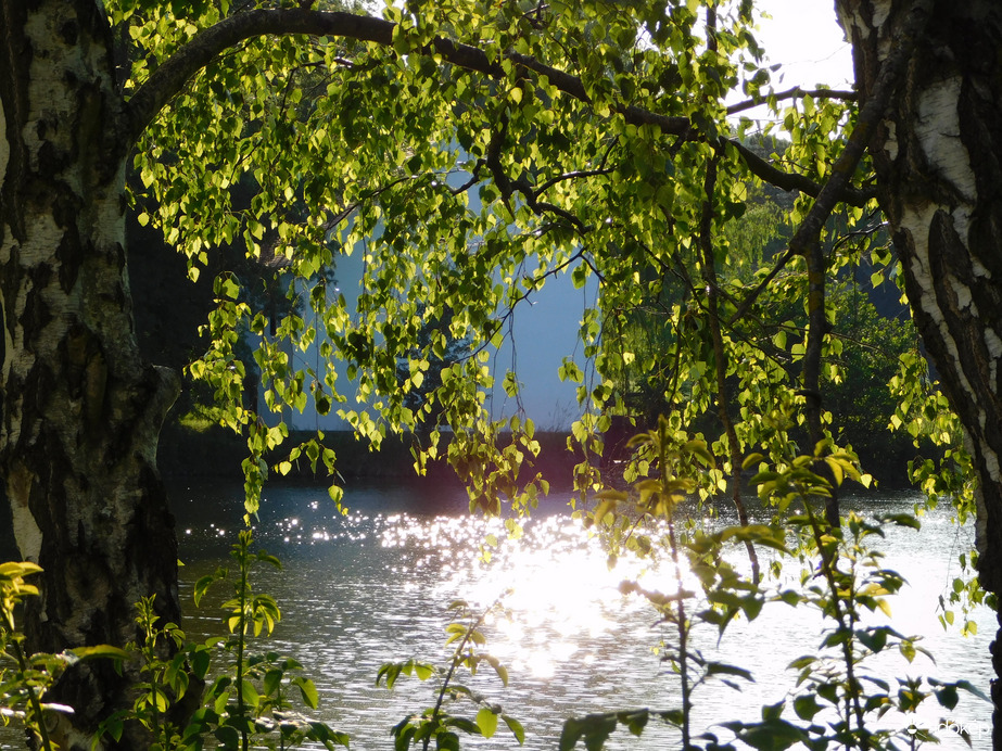 Napfény csillogása a tó tükrén