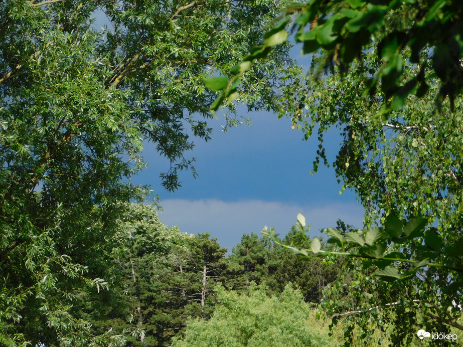 Felhős égbolt lombos keretben