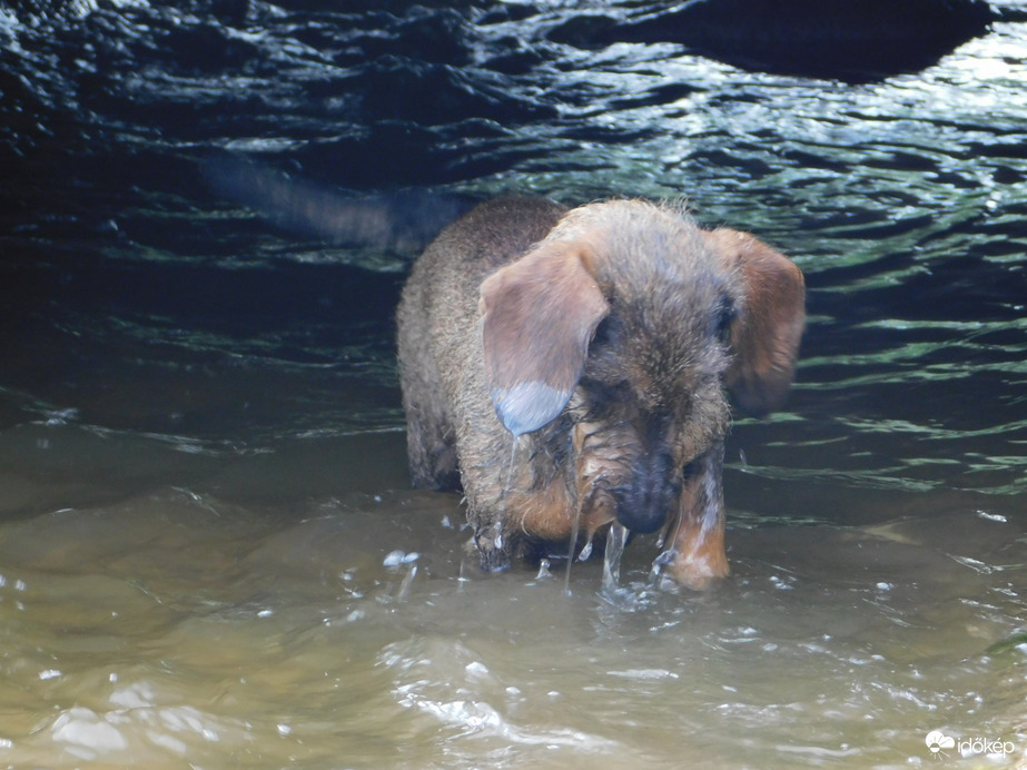 Élvezem a pancsolást!