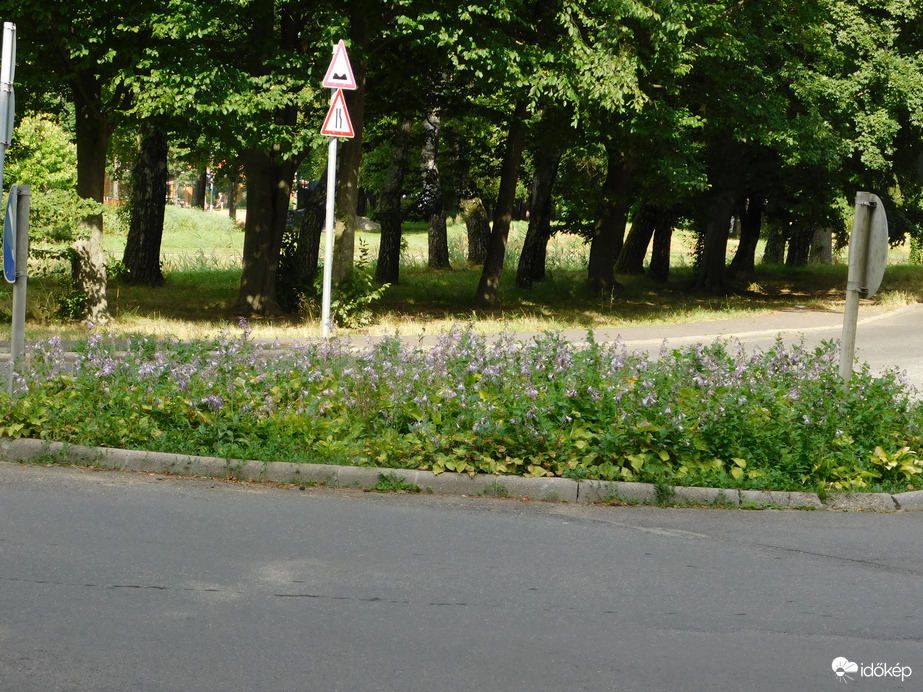 Mini körforgalom a Horgásztónál