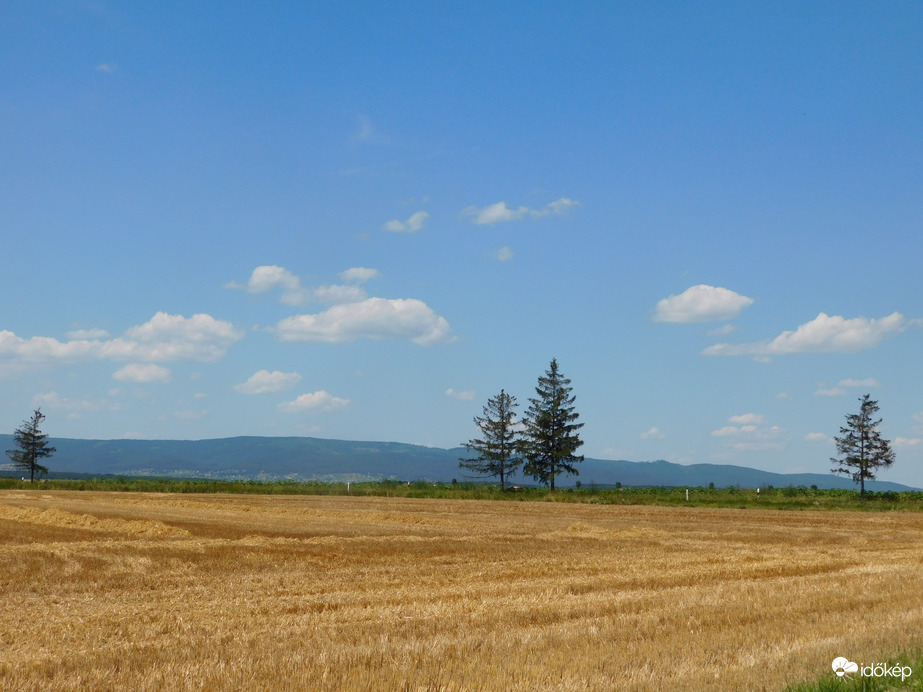 Látkép a gabonatábla széléről