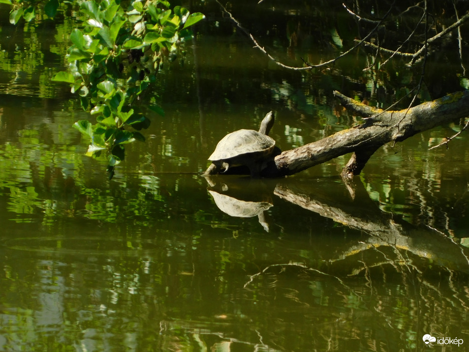 Új napozóhelyet kerestem