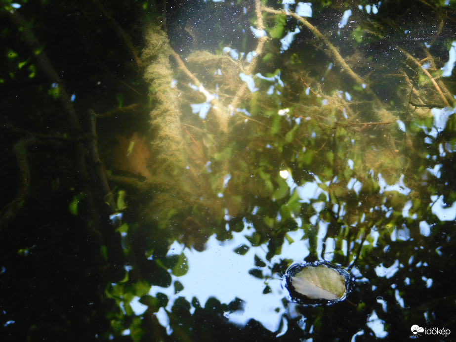 Víz felett és víz alatt