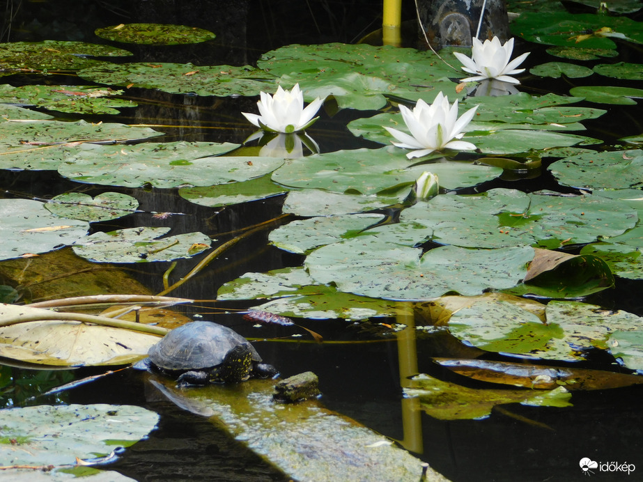 Látjátok? Ilyen pici vagyok!