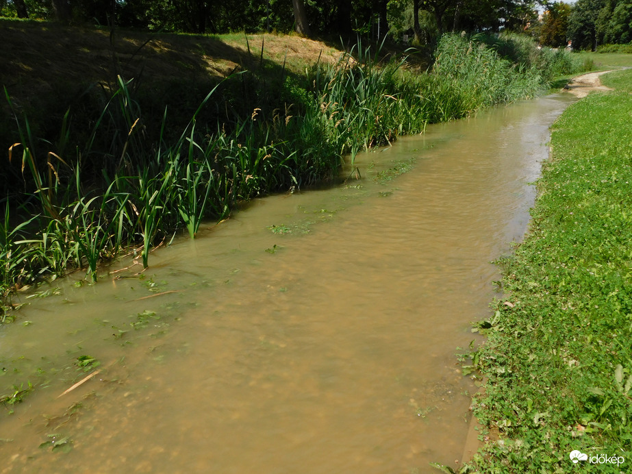 Megint árad az Arany-patak