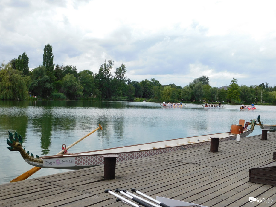 Sárkány, teljes hosszában